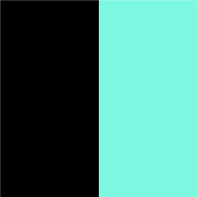 Bicolor: Negro y verde menta